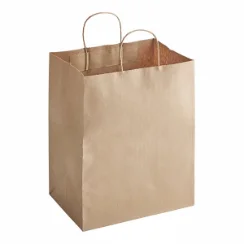 Kraft Bag 10 x 6.75 x 12
