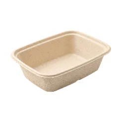 Rectangular 28 oz, Bagasse